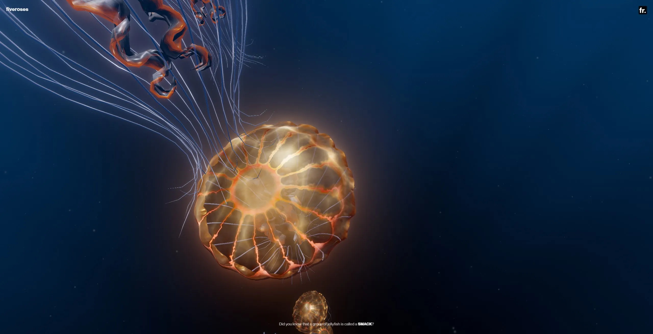 WebGL jellyfish