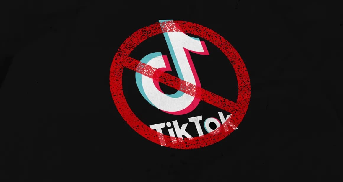 TikTok Got Banned. Now What?